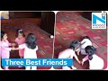 Watch: Dhoni, Raina and Harbhajan’s Daughters Playing Together