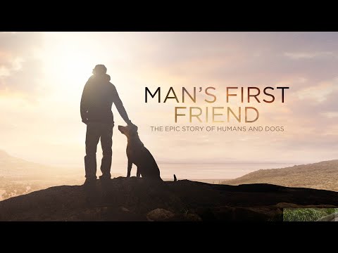 Man's First Friend'