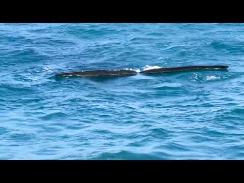 Vidéo de l’hébergement