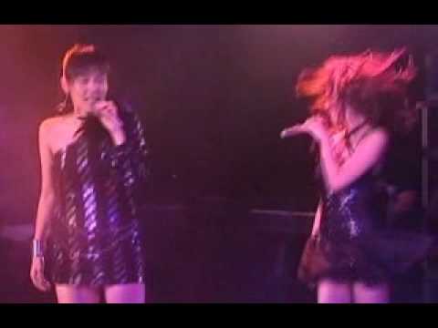 천상지희 live Piranha