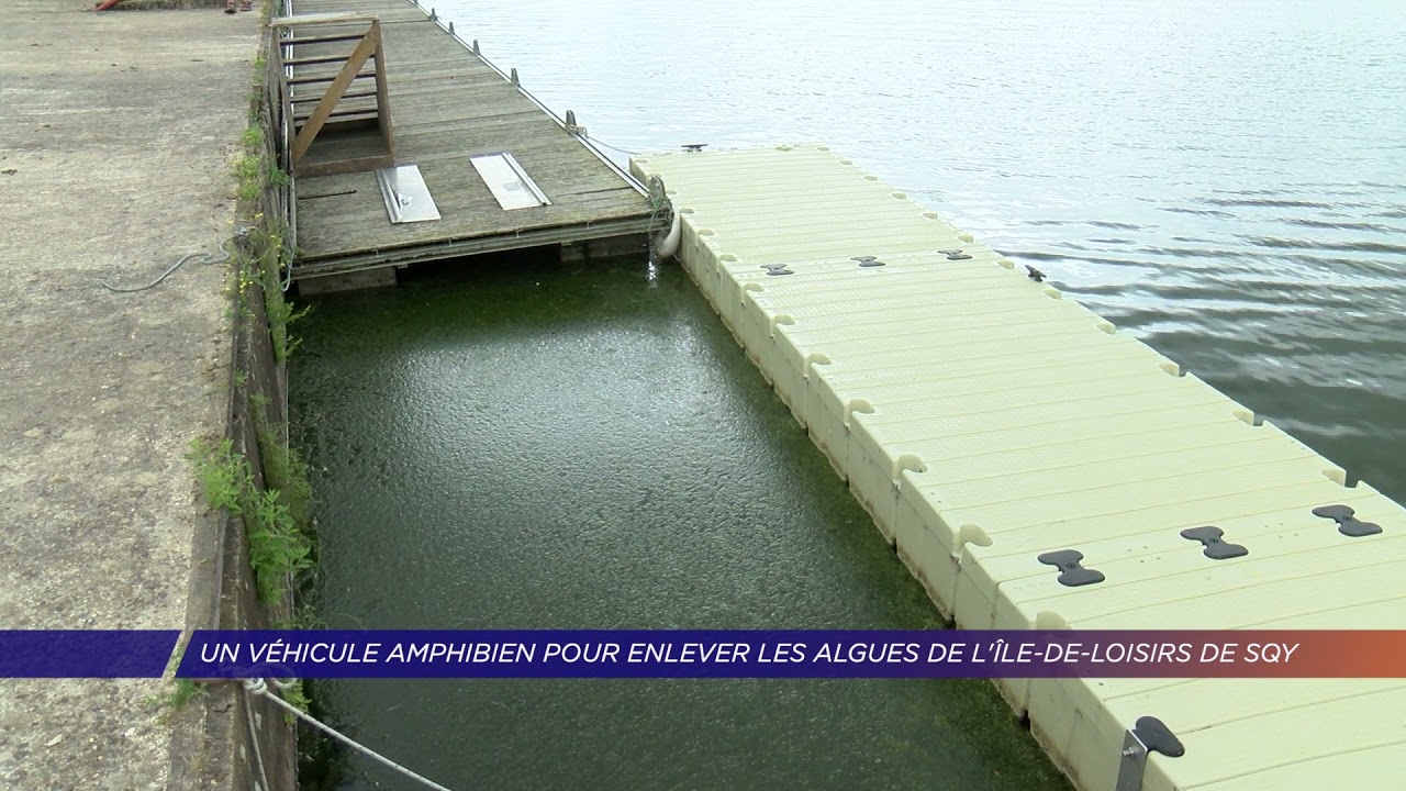 Yvelines | Un véhicule amphibien pour enlever les algues de l’Ile de Loisirs de SQY