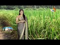 అధిక దిగుబడినిచ్చే రాజేంద్రనగర్ వరి రకాలు |High Yielding Rajendranagar Rice Varieties |Matti Manishi  - 08:04 min - News - Video