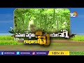 సహజ పద్దతిలో కూరగాయల సాగు.. లాభాలు గడిస్తున్న రైతు | Vegetable Cultivation in Natural Method | 10TV - 06:22 min - News - Video