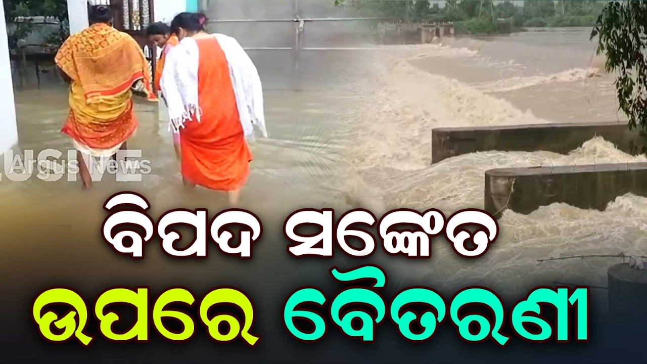 Baitarani River Crosses Danger Mark In Bhadrak, Salandi Water Level Rising | Argus News