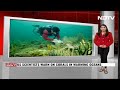 Global Bleaching Event | Scientists Say Coral Reefs Suffer Fourth Global Bleaching Event  - 01:16 min - News - Video