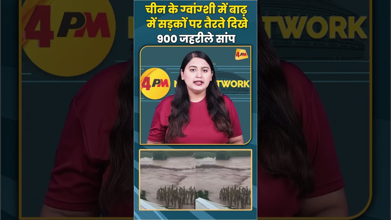 चीन के ग्वांग्शी में बाढ़ में सड़कों पर तैरते दिखे 900 जहरीले सांप #china #trending #snakes #shorts