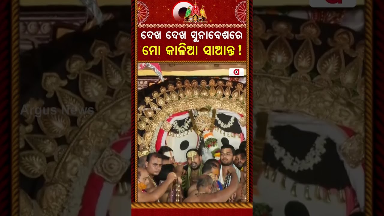 ଦେଖ ଦେଖ ସୁନାବେଶରେ ମୋ କାଳିଆ ସାଆନ୍ତ !| Suna Besha 2026 | Suna Besa | Rath Yatra 2026 | Argus News