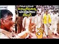 Song On Chandrababu Trending On Social Media