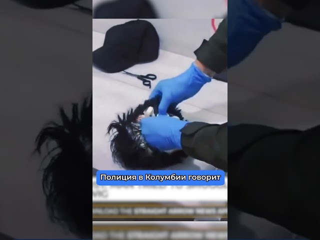 Наркотики в голове
