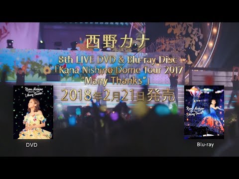 Kana Nishino Dome Tour 2017