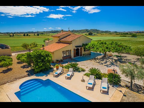 Property video