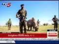 Heavy Police Protection For Last Male White Rhino - Sudan