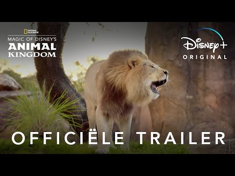 Magic of Disney's Animal Kingdom'