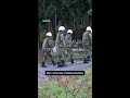 Why Japan is sending in troops to deal with bears