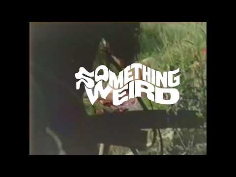 The Erotic Adventures of Zorro'