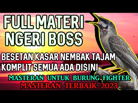 BESETAN KASAR FULL TEMBAKAN TAJAM || MASTERAN BURUNG KASAR SUARA JERNIH FULL MATERI ‎@Baonk