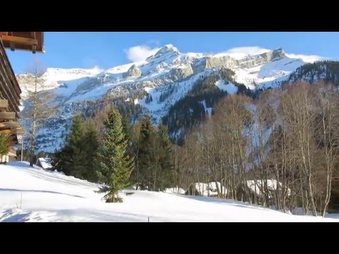 Property video