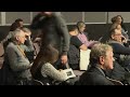 Berlinale LIVE: Berlin Film Festival jury give press conference on the first day of the 74th edition  - 59:16 min - News - Video