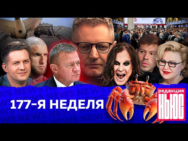 Редакция News: 177-я неделя