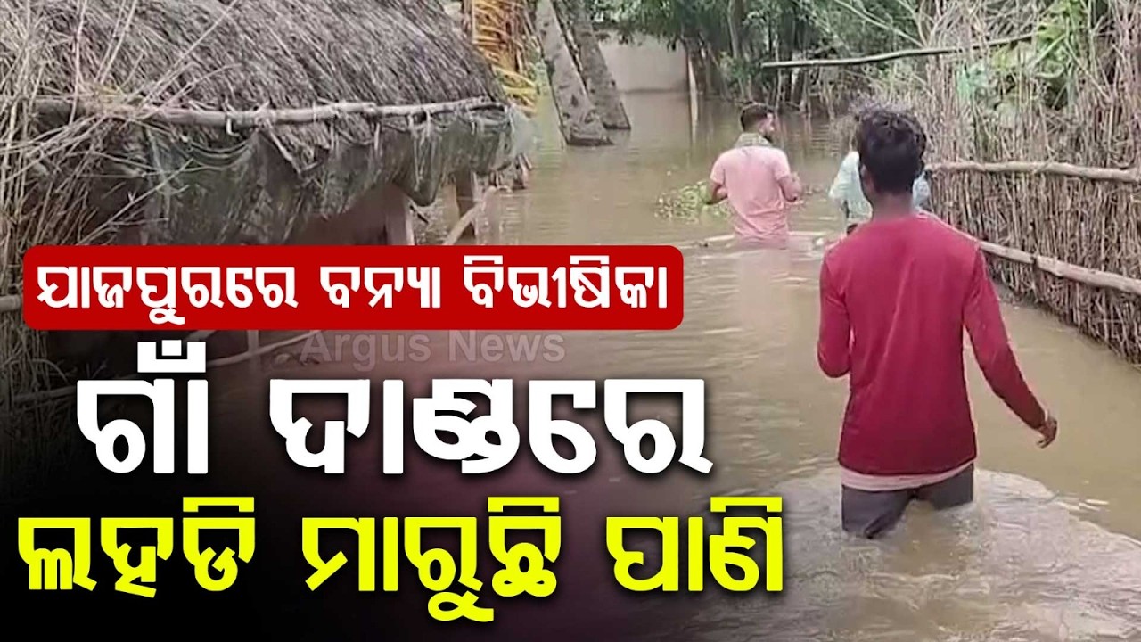 Brahmani & Baitarani Rivers Above Danger Level; Jajpur Villages Face Flood Fury | Argus News