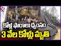 Poultry Farm Shed Destroyed Due To Strong Winds In Shivaipally | Medak District | V6 News