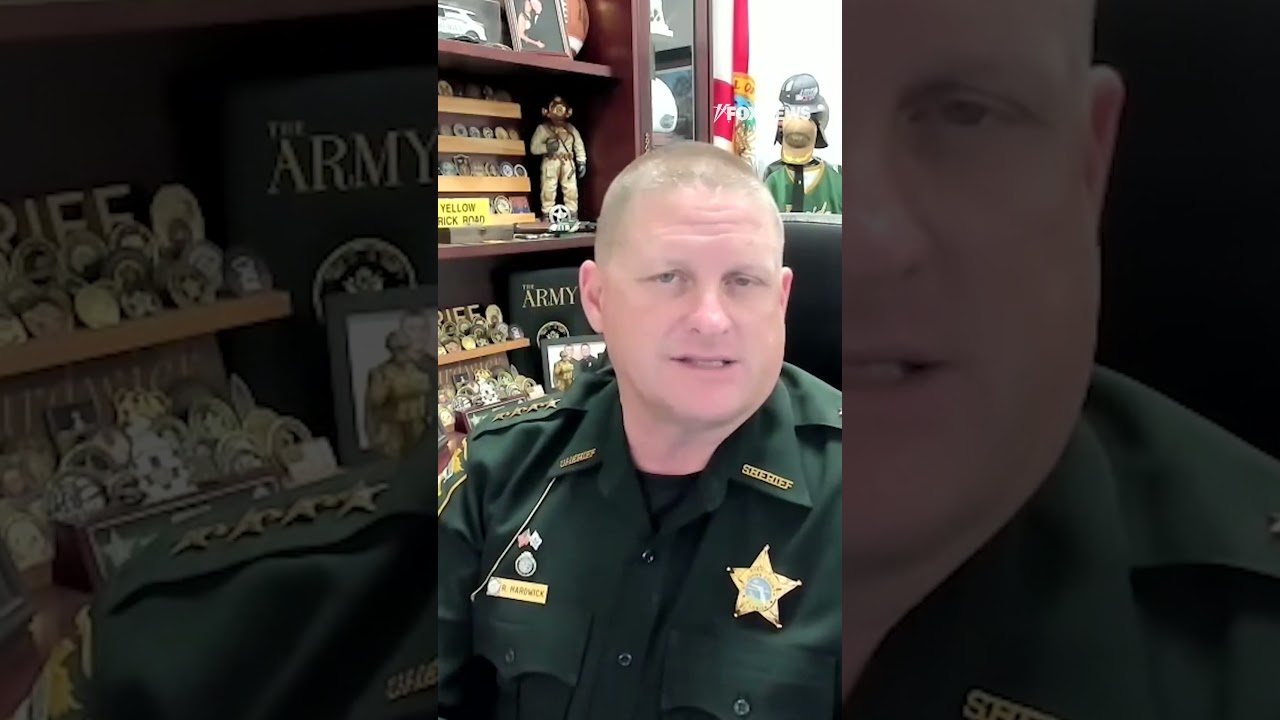 Sheriff's 'brand-new tool and technique' to crack down on illegal immigration
