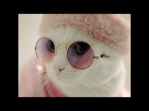 M'n Beessie en ik'