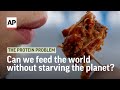 Can we feed the world without starving the planet? | The Protein Problem Trailer