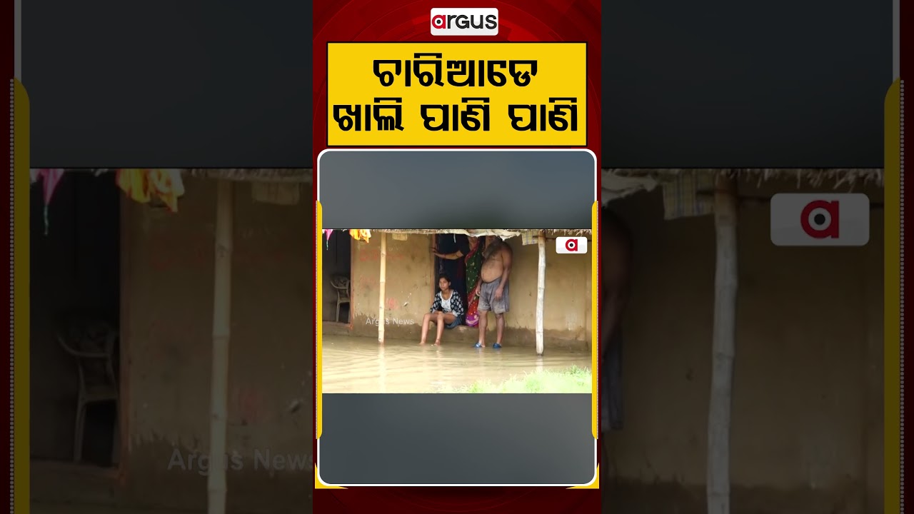 ଚାରିଆଡେ ଖାଲି ପାଣି ପାଣି | Bhadrak Flood Alert | Argus News