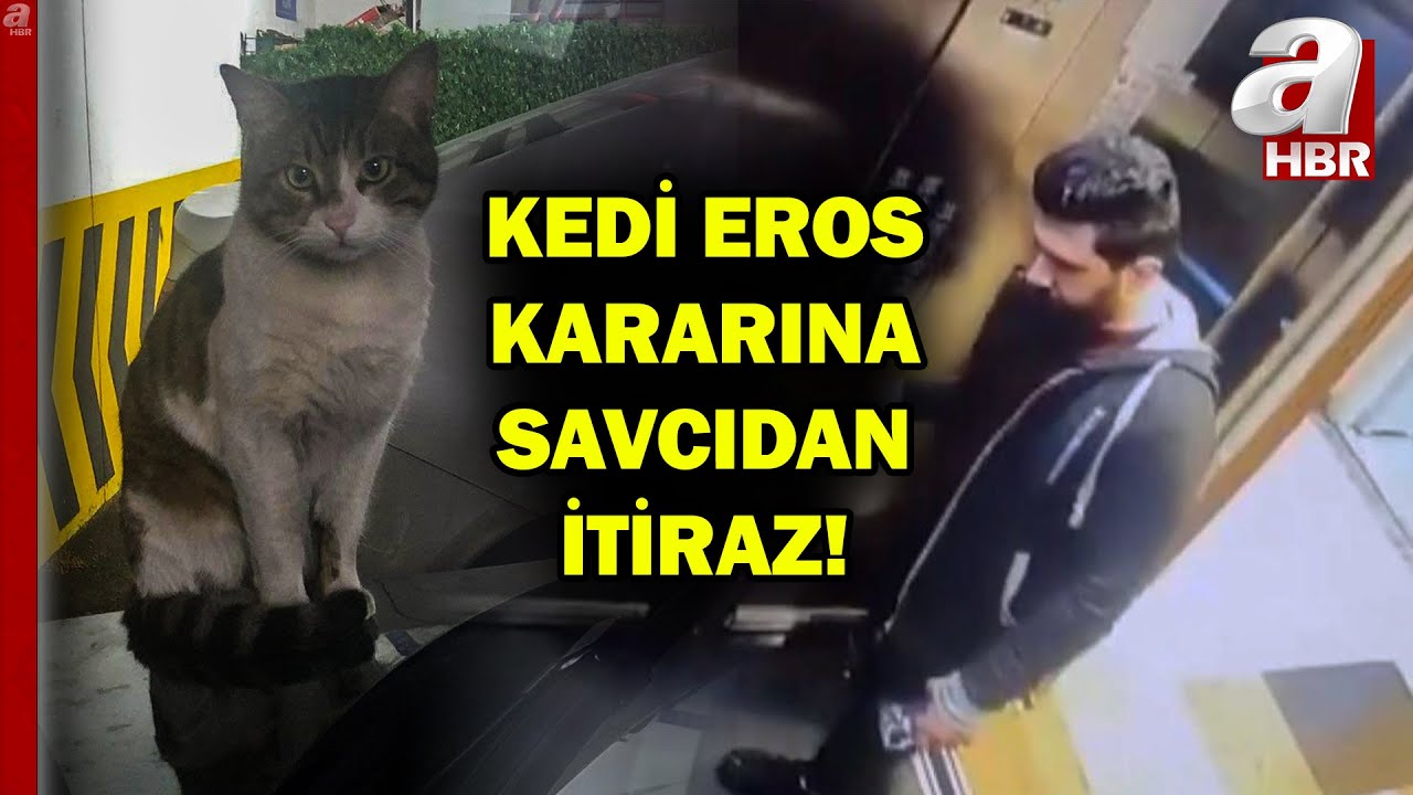Öldürülen kedi Eros'la ilgili Savcı karara itiraz etti! "İyi hal" indirimi tepki çekmişti | A Haber