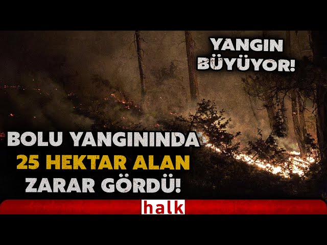 Bolu'daki orman yangını büyüyor: 25 hektar alan zarar gördü! İşte o görüntüler