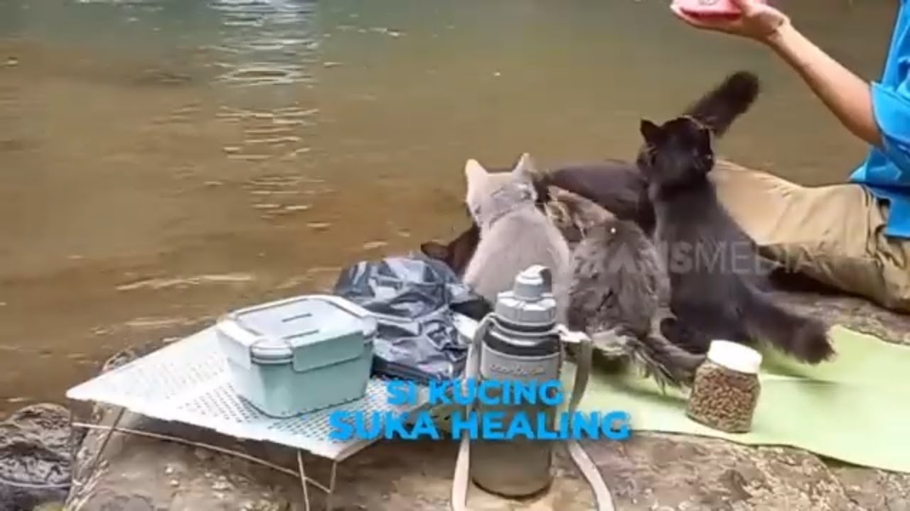 Si Kucing Buka Healing | SI OTAN (20/06/24)