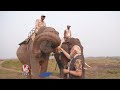 PM Modi Visits Kaziranga National Park | Assam | V6 News  - 03:24 min - News - Video