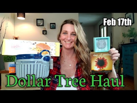 Dollar Tree Haul 🌼 NEW Items🌼 Feb 17