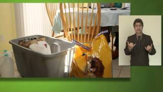 Video Link: Perparing Makes Sense for Pet Owners