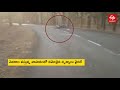 Deer jumping over biker to cross road in Madhya Pradesh, viral video