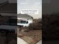 WATCH: Tumbleweeds invade Utah neighborhood  - 00:21 min - News - Video