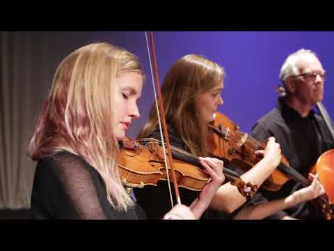 Deep Energy Orchestra - Violin solo Lotus Feet