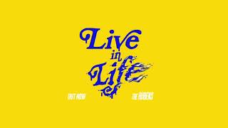 The Rubens – Live In Life (Audio)