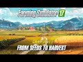 Gameplay #1: From Seeds to Harvest