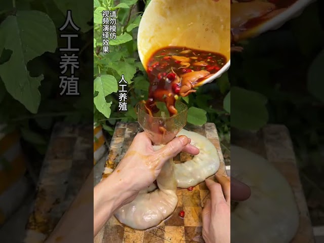 Have you ever eaten the Golden Frog in Large Intestine Can?|Chinese Mountain Forest Life And Food