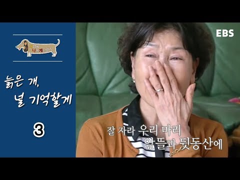 세상에 나쁜 개는 없다 - 늙은 개, 널 기억할게_#003