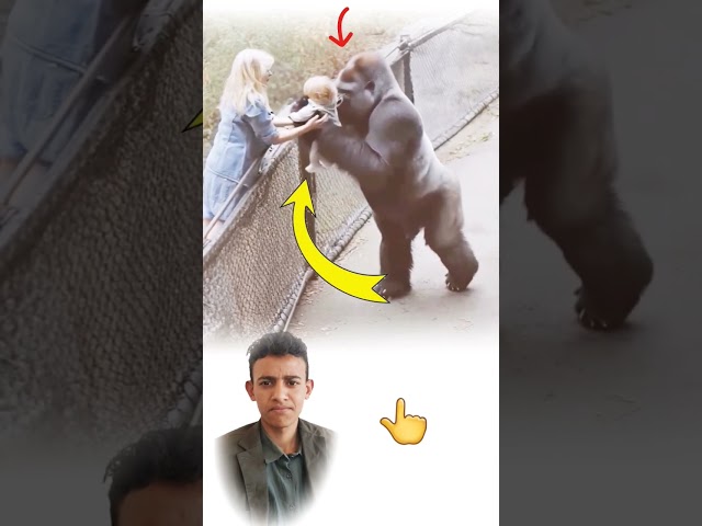 ماأحن ذلك الكائن حين امتدت غريزته لتغدو رحمة مشى بالطفل نحوالأمان وكأن قلبه خلق من حنان أمٍ لاتعرفه🥺