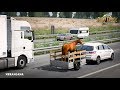 Animal Trailer in Traffic v2.0