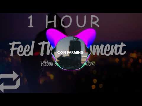 [1 Hour] Feel This Moment (Pitbull, Christina Aguilna)
