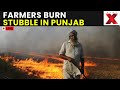Stubble Burning in Amritsar LIVE: Farmers Burn Stubble in Mattewal Village, Amritsar Amid Pollution
