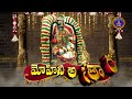 శ్రీవారి వార్షిక బ్రహ్మోత్సవాలు - తిరుమల || మోహినీ అవతారం ||Promo || October 1st 8 Am Live On SVBC - 01:14 min - News - Video