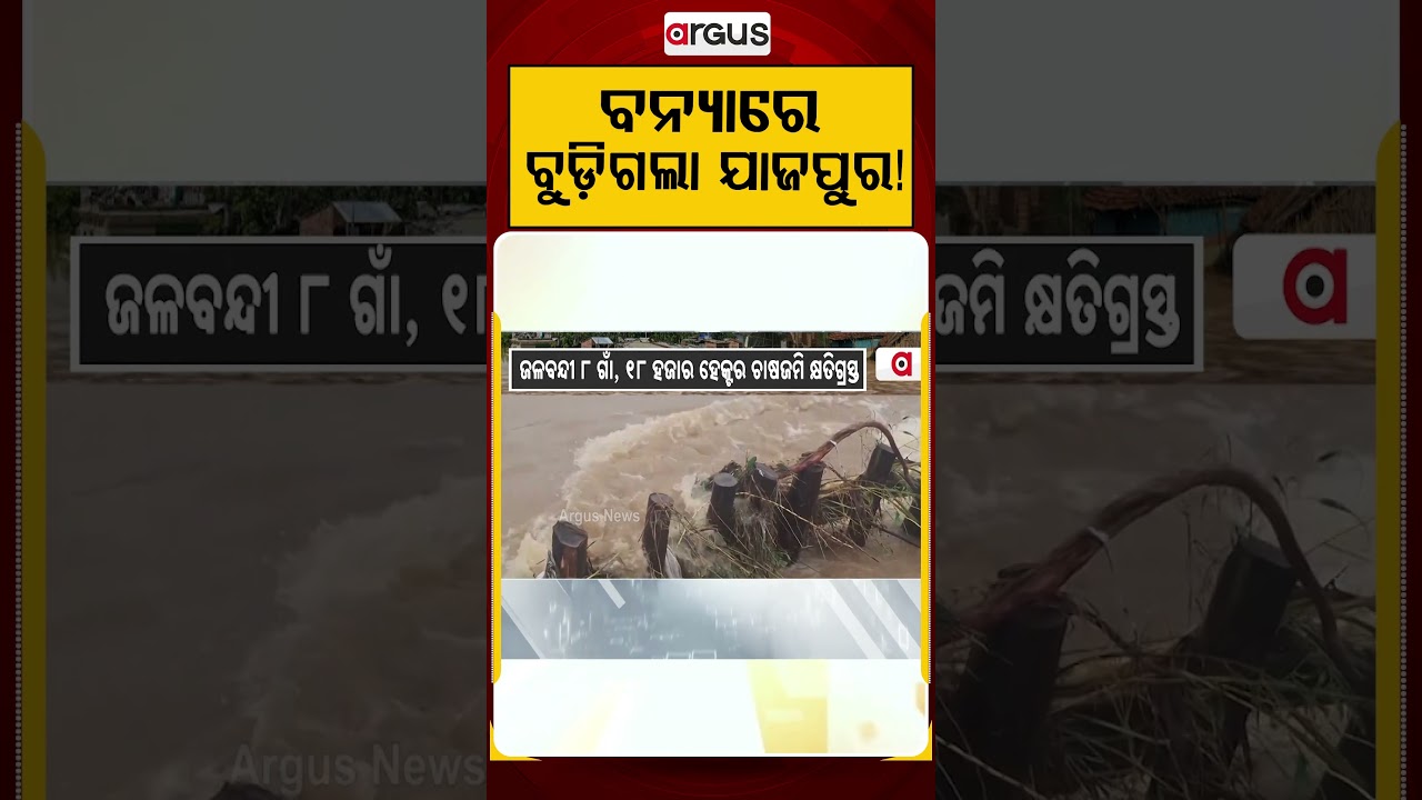 ବନ୍ୟାରେ ବୁଡ଼ିଗଲା ଯାଜପୁର ! | Argus Reels | JajpurFlood | RescueOperation | OdishaRain
