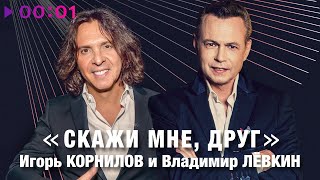 Владимир Лёвкин, Игорь Корнилов — Скажи мне друг | Official Audio | 2023