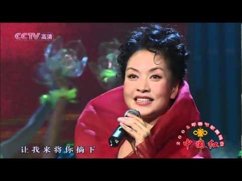 茉莉花 05年春节歌舞晚会 现场版--彭丽媛.mp4